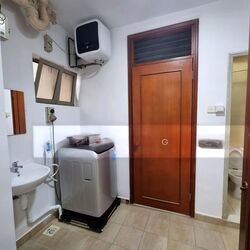 Parc Vista (D22), Condominium #504128641